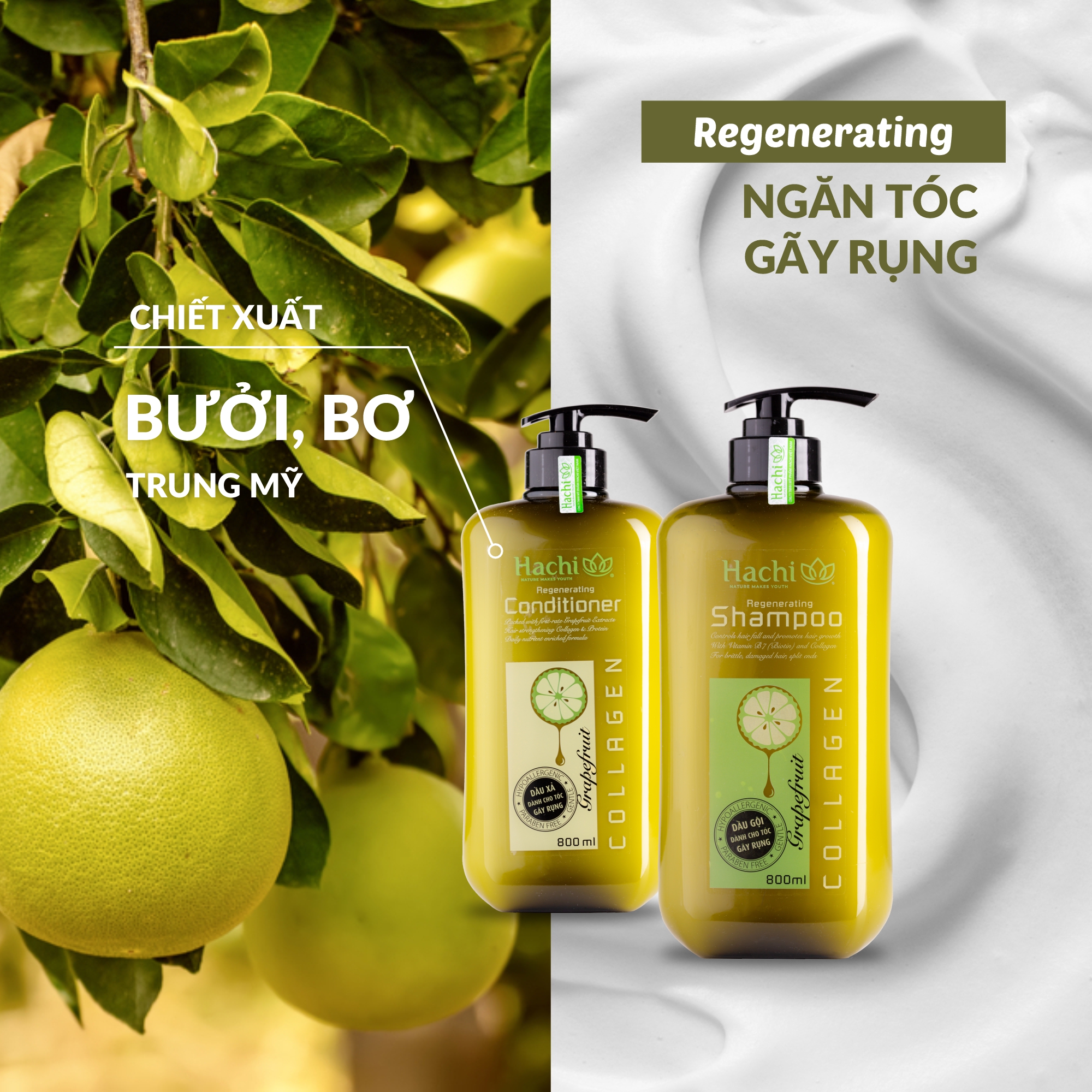 Combo dầu gội xả bưởi Hachi dành cho tóc gãy rụng 350, 500, 800ml