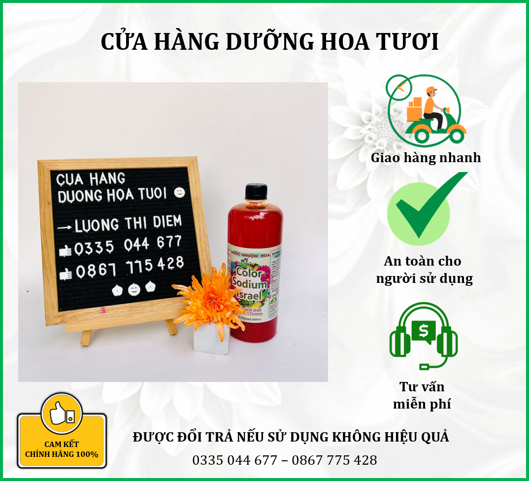Nước nhuộm hoa tươi đổi màu cam theo công nghê Israel tặng kèm dưỡng hoa tươi lâu