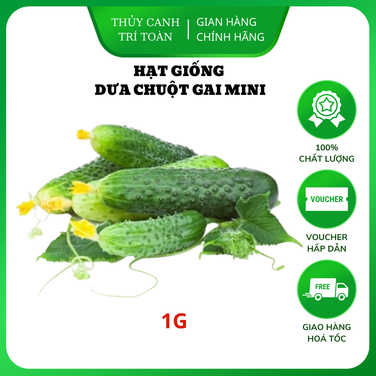 Hạt giống Dưa Chuột Gai Mini chùm siêu trái, trồng quanh năm - Hạt giống Rạng Đông
