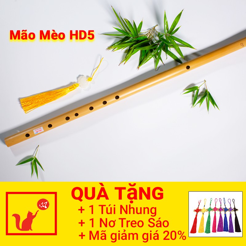 Sáo trúc mão mèo hd5 sáo trúc mão mèo