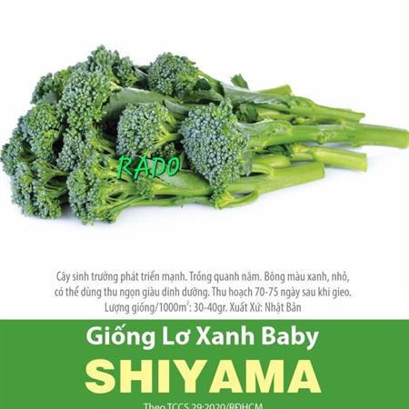 Hạt giống lơ baby 0.1gr