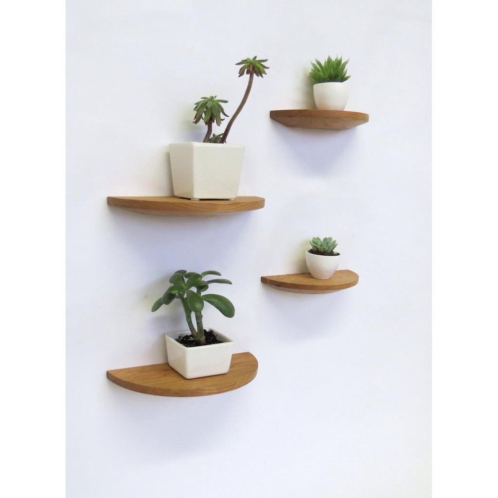 01 kệ treo tường trang trí nửa hình tròn đường kính 30 cm gỗ thông DECOR