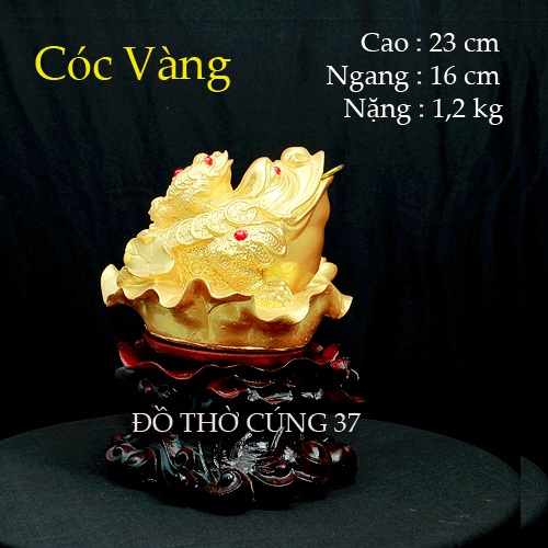 Cóc thiềm thừ