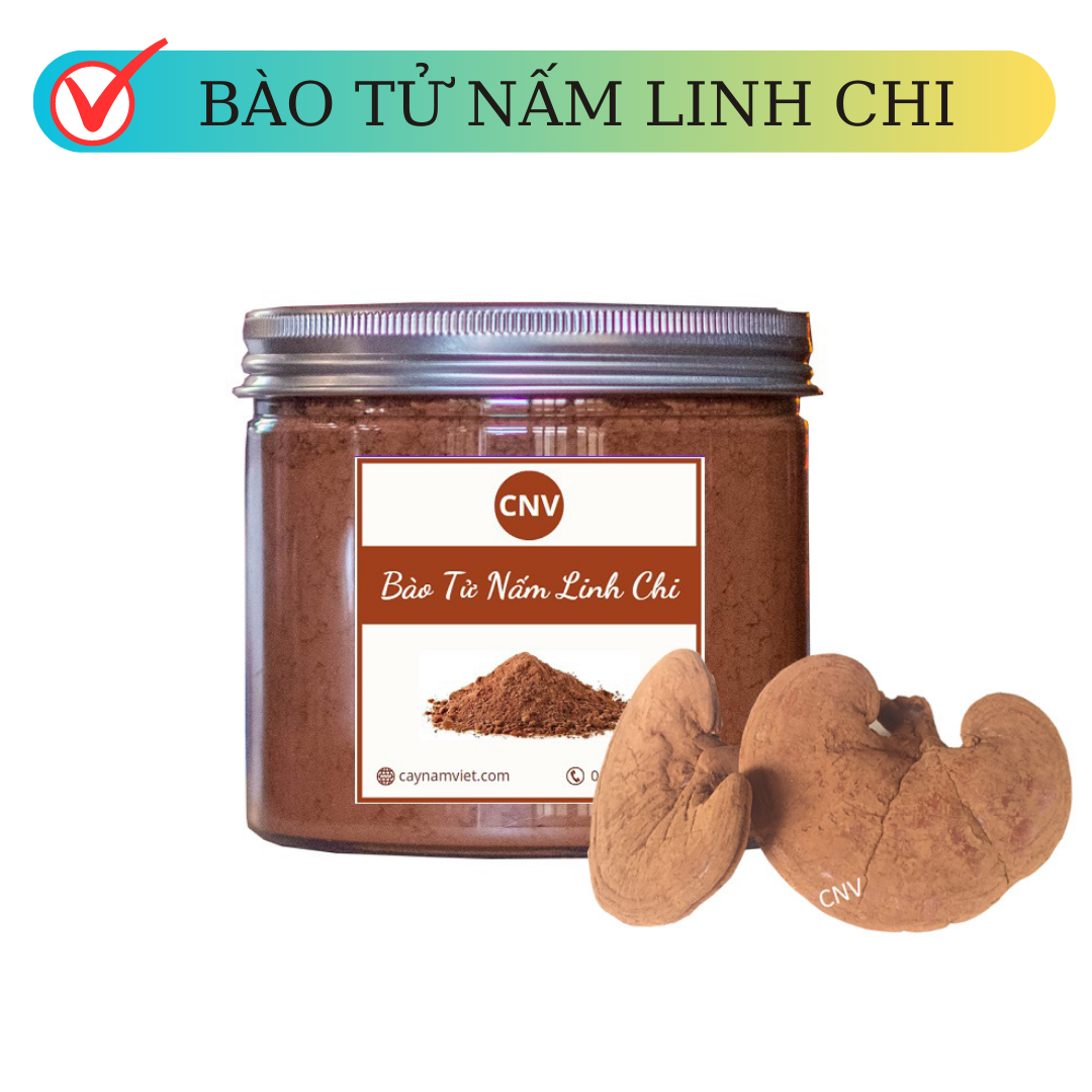 Bào tử nấm linh chi đỏ 100g cnv