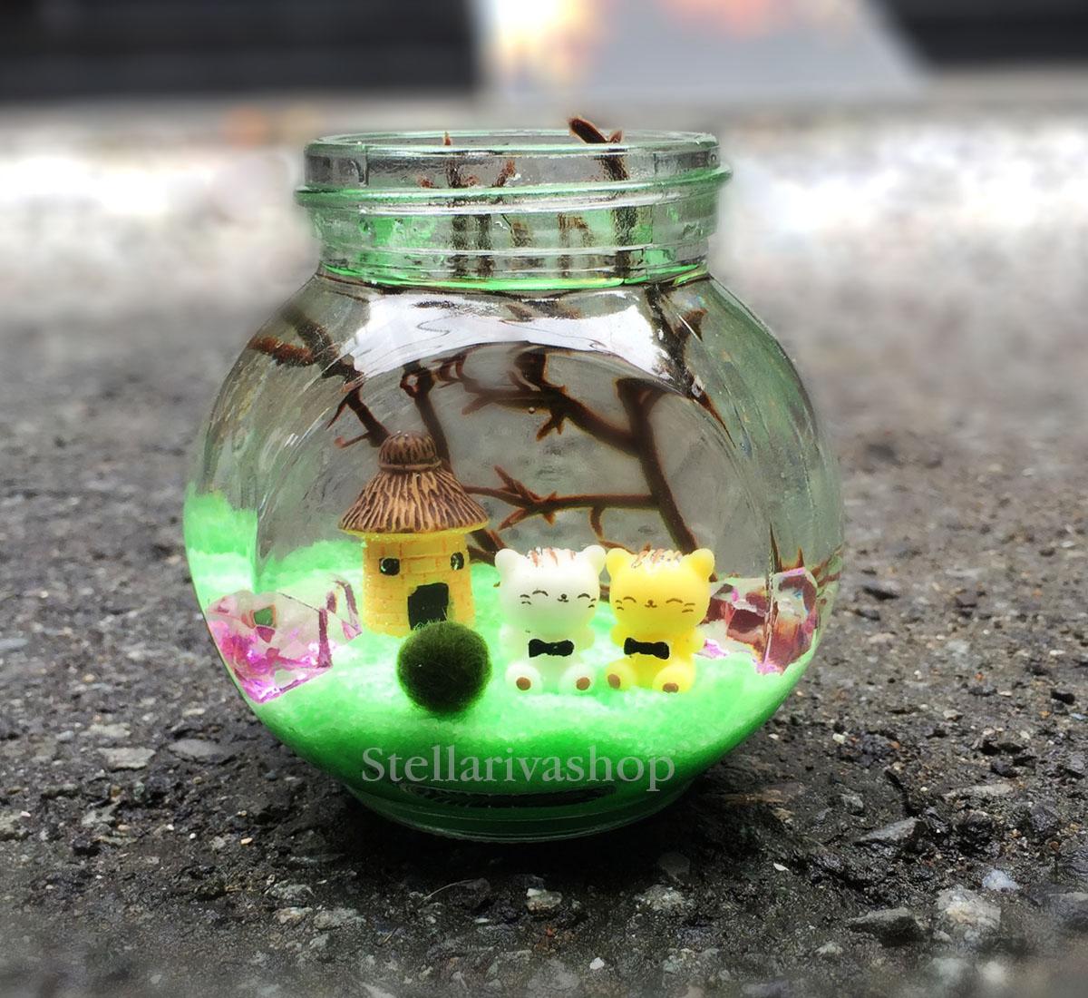 Hủ tiểu cảnh tảo cầu may mắn marimo cặp mèo và Marimo
