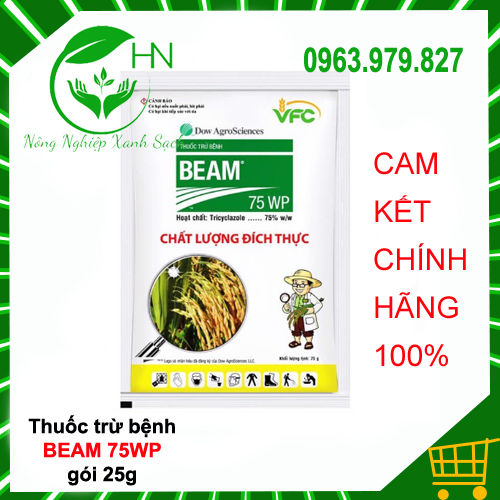 Beam 75WP 25g - Thuốc trừ bệnh lưu dẫn hiệu lực kéo dài