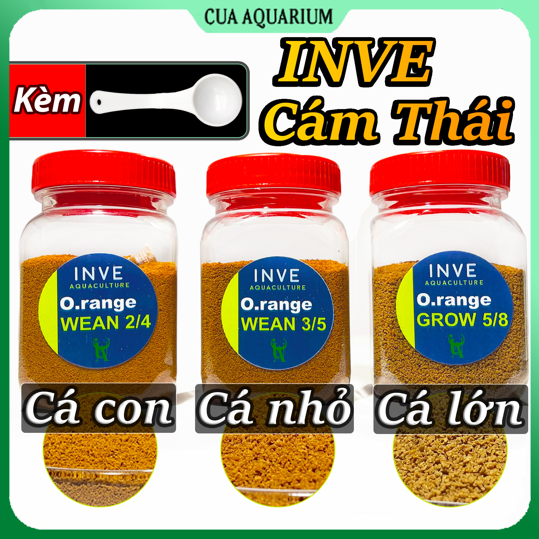 Cám thái inve 3/5 5/8 2/4 thức ăn cho cá 7 màu , cá betta , cá thủy sinh