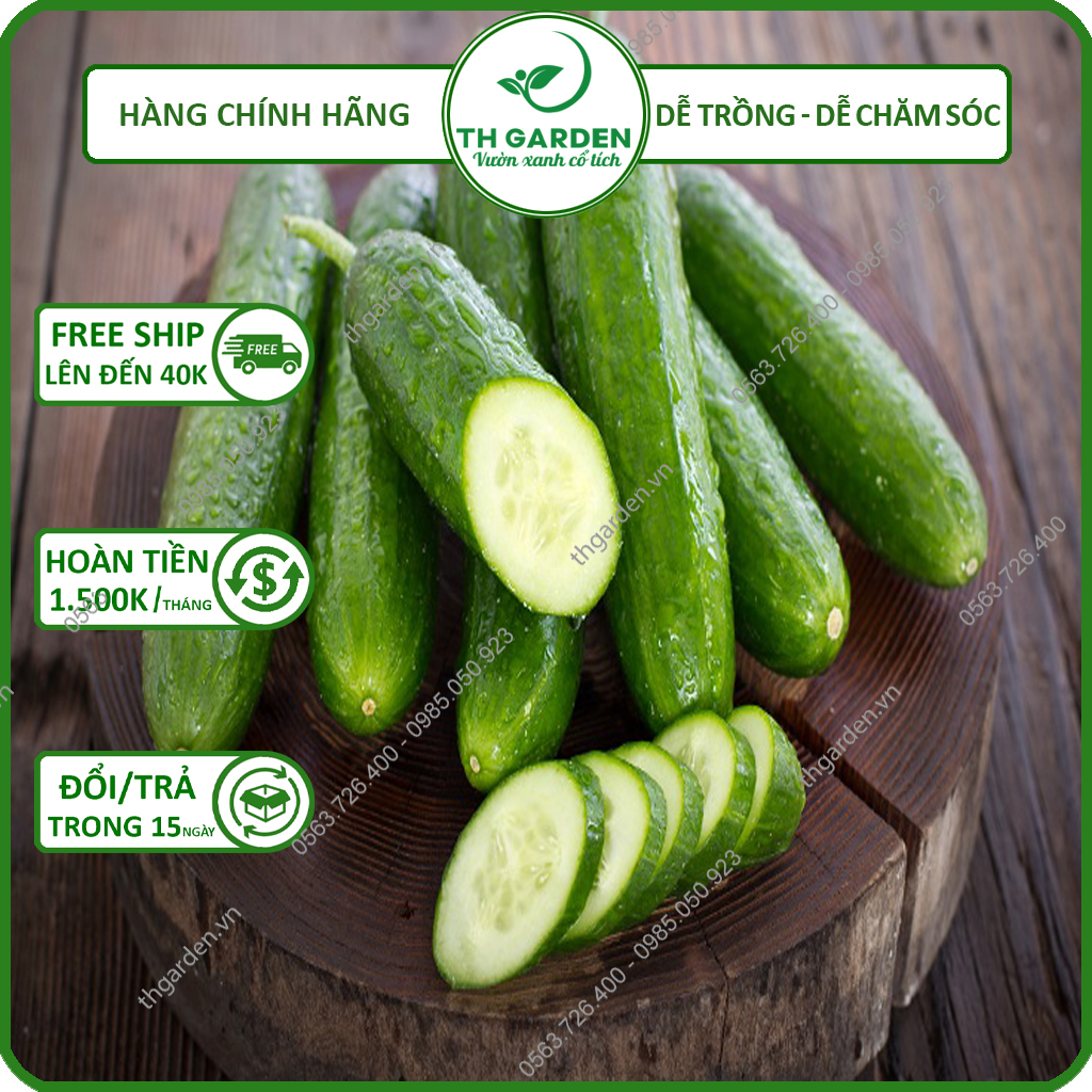 Hạt Giống Dưa Leo Dưa Chuột Nhật TH Garden - Hạt Giống Cao Sản, Dễ Trồng Dễ Chăm Sóc, Thơm Ngon, Năng Suất Cao, Quả Giòn Ngon