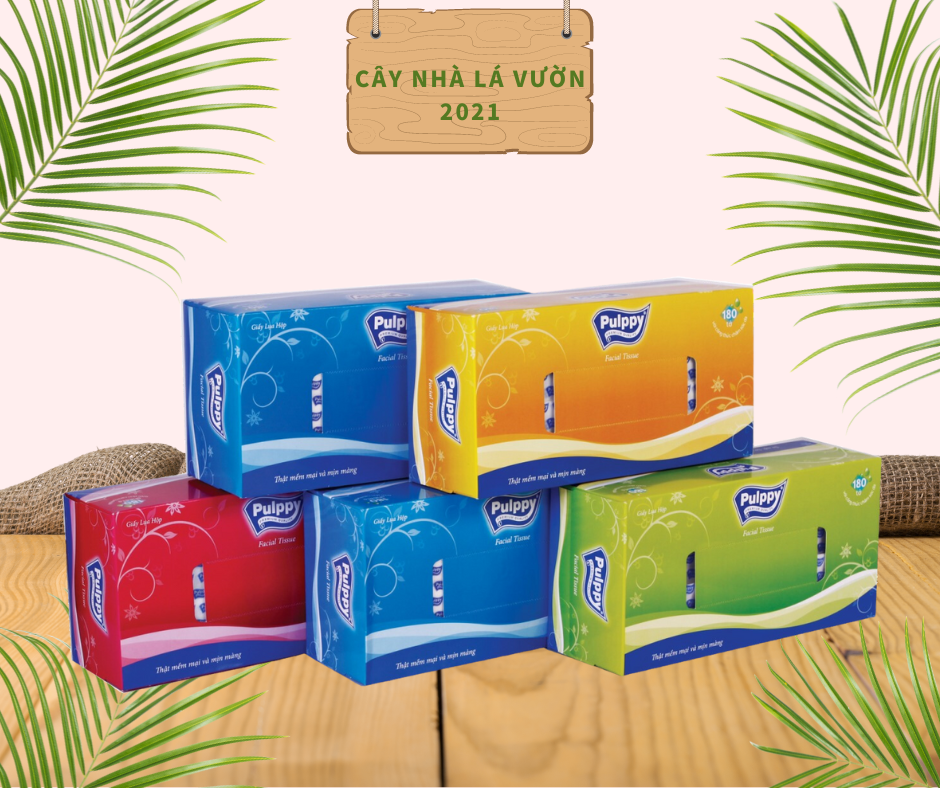 Set 5 hộp giấy lụa hộp pulppy