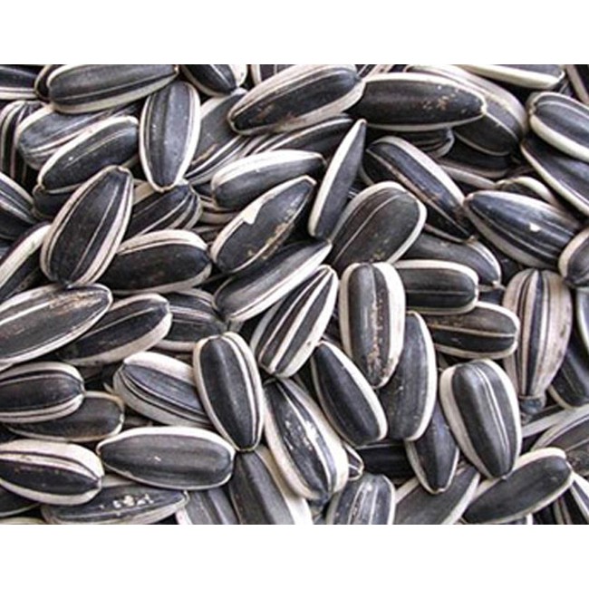 HẠT HƯỚNG DƯƠNG SẤY ĂN LIỀN - 500G LOẠI ĐẶC BIỆT - HÀNG CÔNG TY UY TÍN - AN TOÀN VSTP