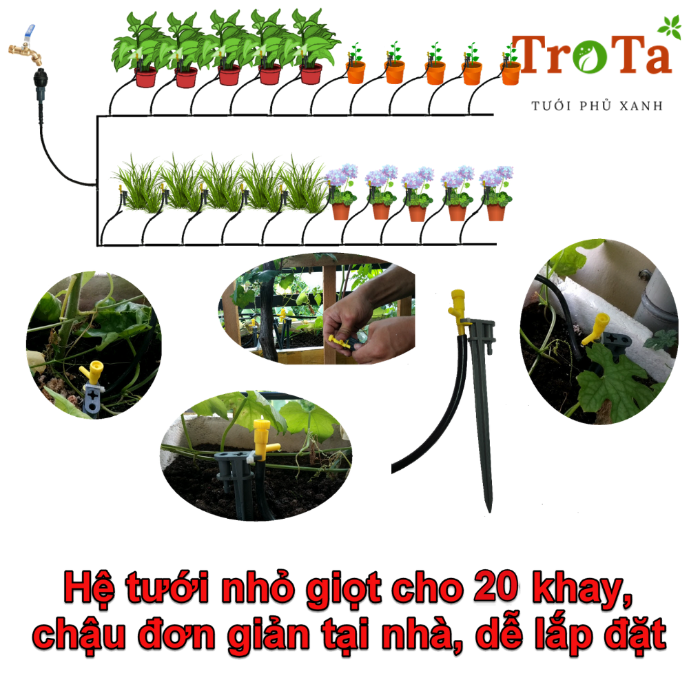 Hệ Thống Thống tưới nhỏ giọt đô thị tiết kiệm nước TT20, Dành cho 20 khay rau.