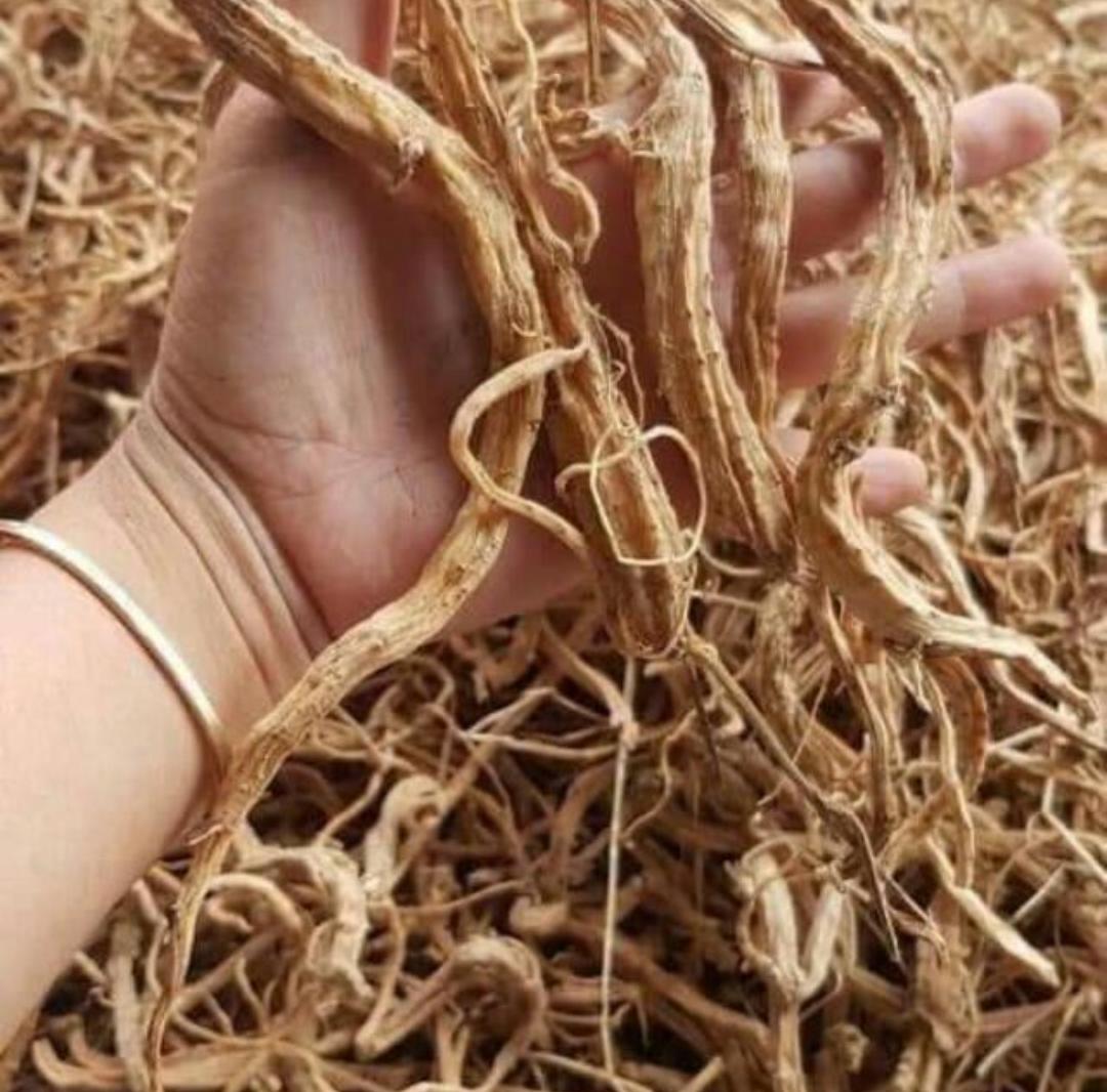 Sâm dây khô núi Ngọc Linh, Kon Tum, Đặc sản Tây Nguyên (1kg)