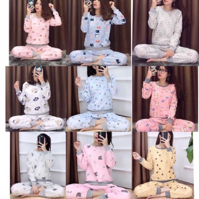 Bộ nỉ bông nữ siêu kute - ảnh thật
