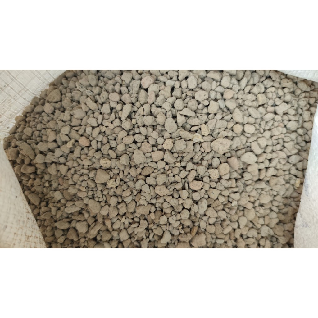 Đá Pumice trồng sen đá, xương rồng, ươm cây con