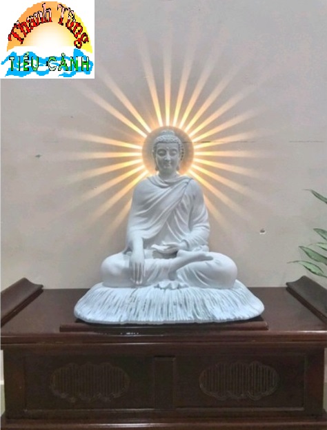 Tượng phật bổn sư thích ca mâu ni, phật đức thích ca cao 21cm trang trí nhà cửa thờ phật, cây cảnh, bể cá, sân vườn...