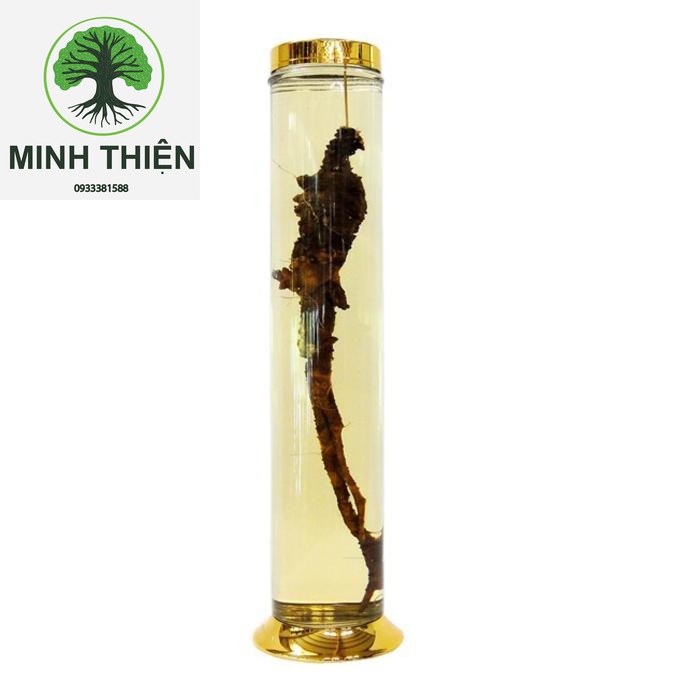 Bình ngâm sâm 2.8 lít |bình ngâm rươu | keo rươu