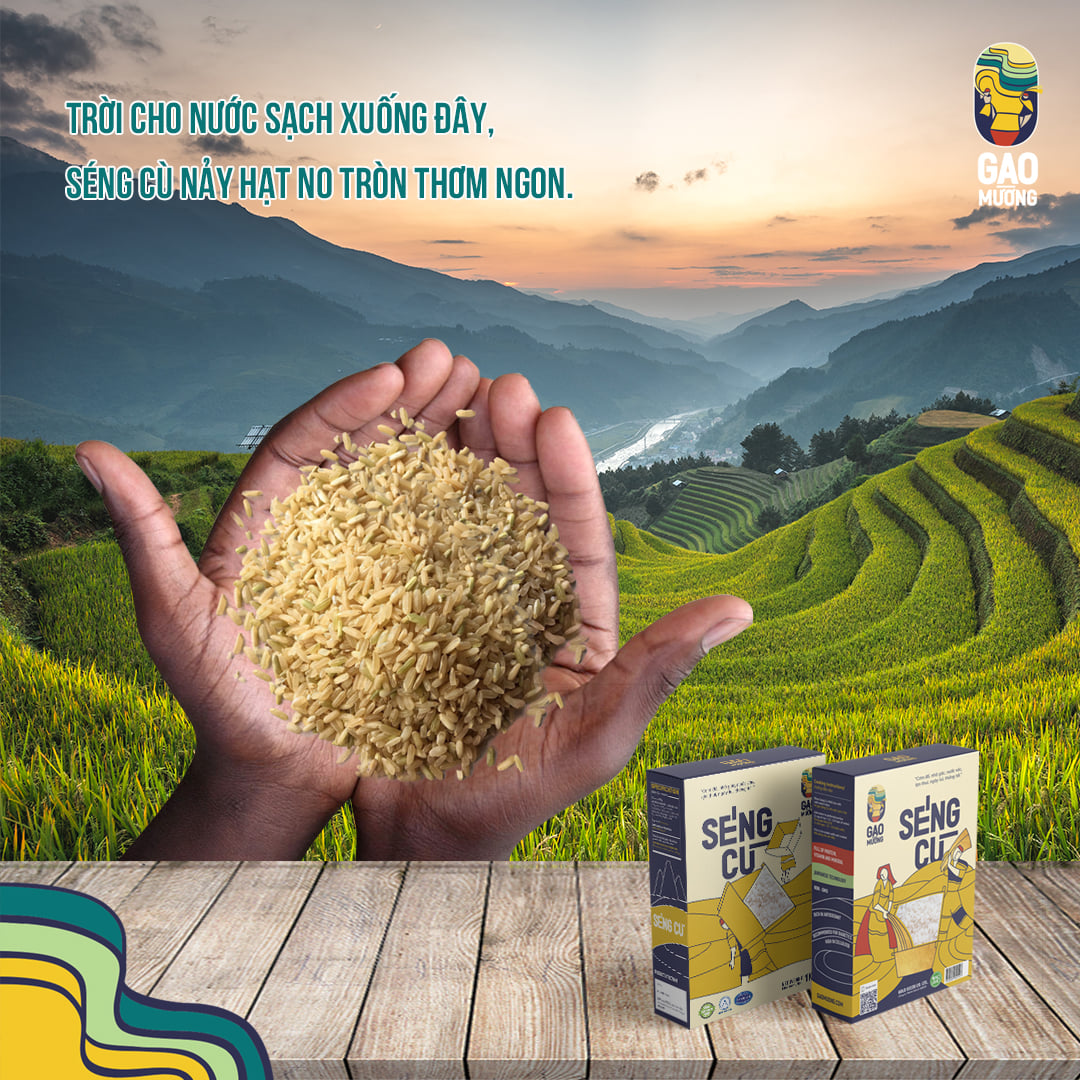 Gạo lứt séng cù - gao mường - đóng gói hút chân không 1kg