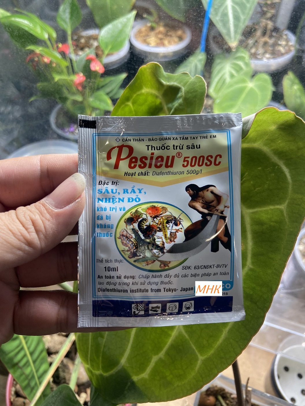 Pesieu 500SC chuyên trừ nhện đỏ kháng thuốc ! Gói nhỏ 10ml tiện dụng cho vườn trong nhà !