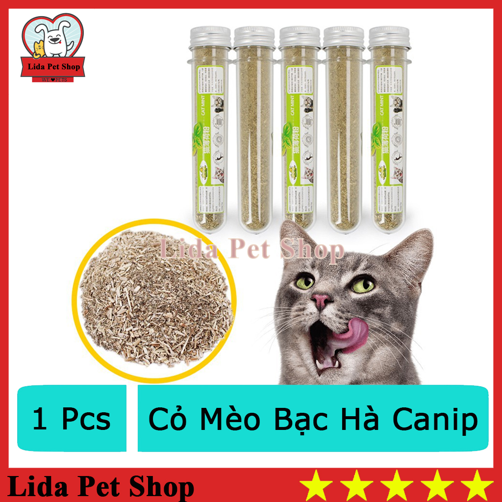 HN- Cỏ mèo (tuyp 40ml) Đồ chơi cho mèo ngửi và gặm hạn chế búi lông tắc ruột trên mèo - catnip mèo - bạc hà mèo gói hạt giống / tuyp cỏ mèo khô / hộp cỏ