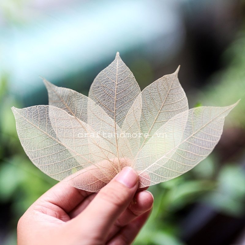 Gân lá trang trí làm handmade