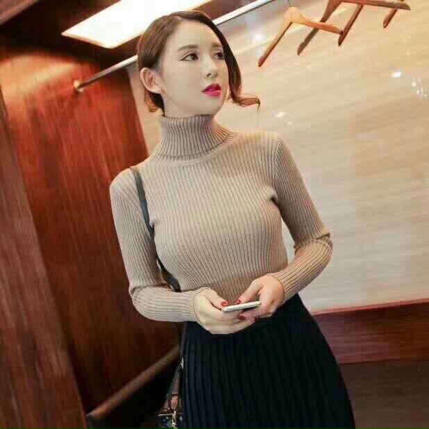 [HCM]áo len nữ cổ lọ trơn tay dài kiểu dáng thời trang đơn giản thông dụng mùa thu đông m3880