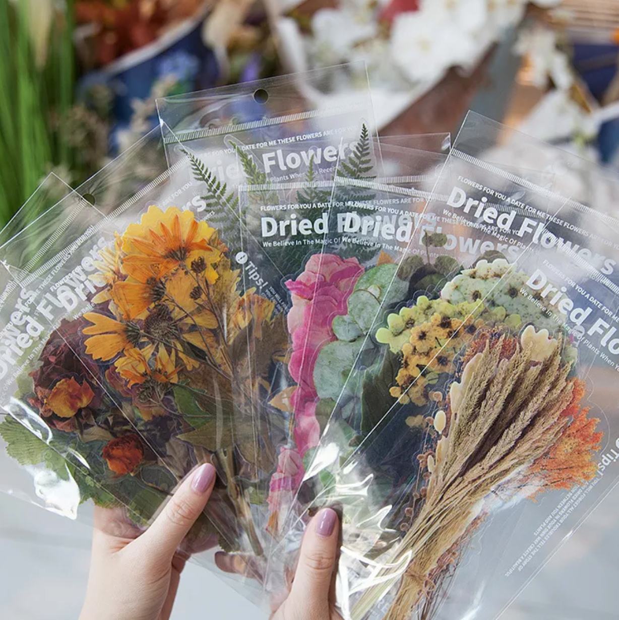 Set Sticker hoa lá cỡ lớn trong suốt - Sticker Vintage dán trang trí -vpp TueMinh