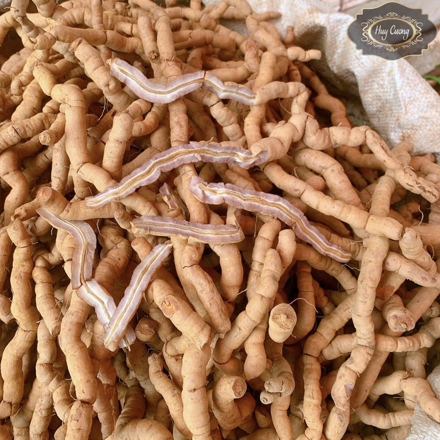 Ba kích tím, ba kích tươi 1kg, ba kích ngâm rượu, ba kích rừng vùng núi cao Tây Bắc
