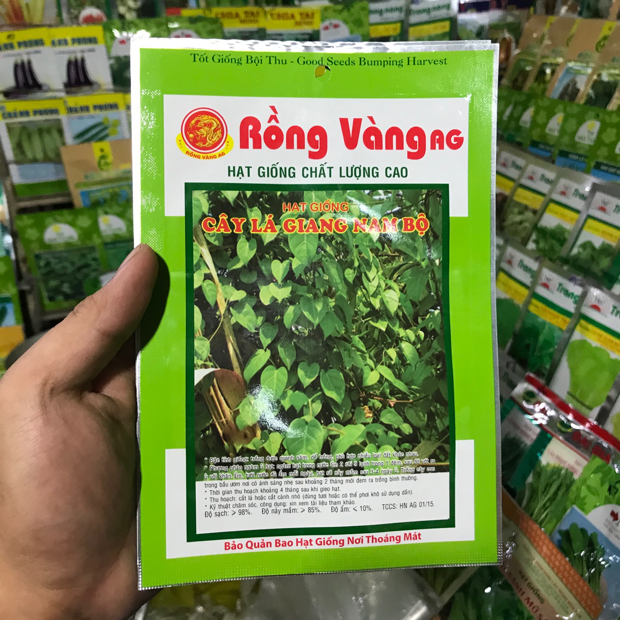 Hạt giống cây lá giang