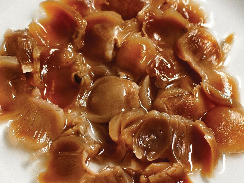 Nhãn nhục vàng loại 1 - 500gr