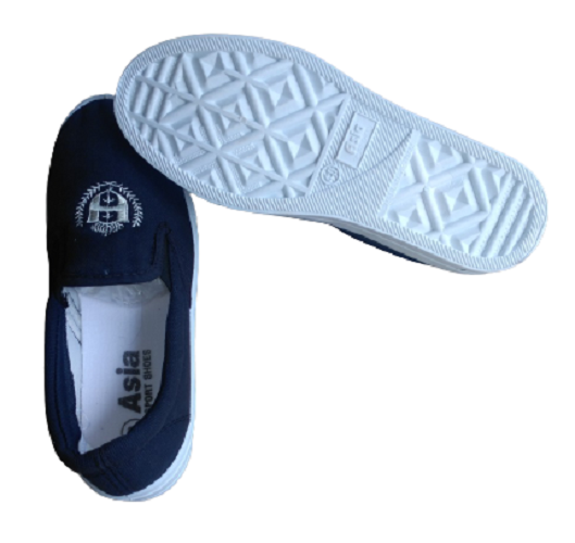 GIÀY VẢI CAO CẤP ASIA .GIÀY HỌC SINH,GIÀY BẢO HỘ,GIÀY THỂ DỤC-DÙNG CHO CẢ NAM VÀ NỮ