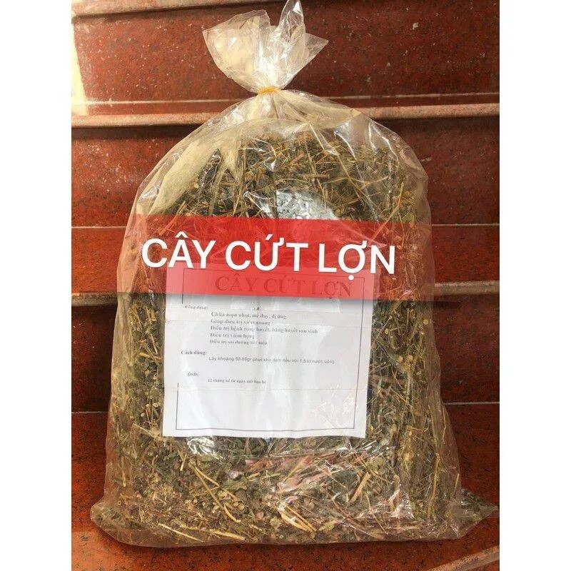 Cây cứt lợn khô 1kg