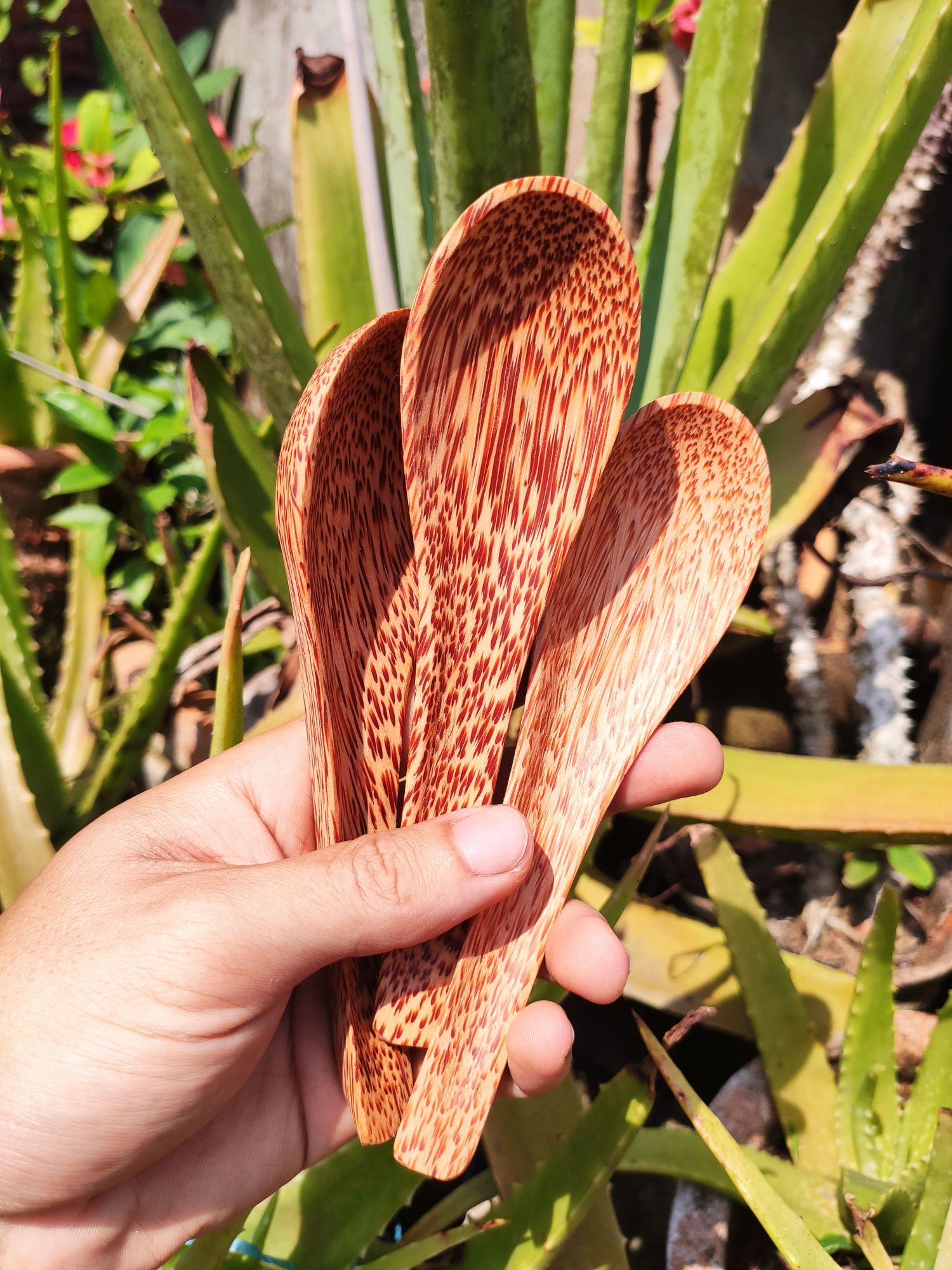 Muỗng cơm gỗ dừa