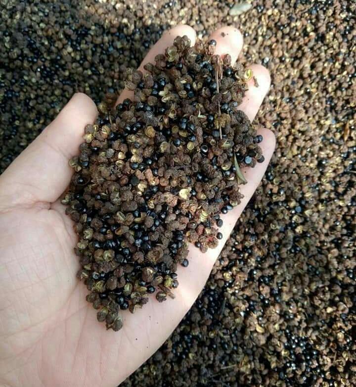 COMBO: 20 HẠT DỔI + 200G MẮC KHÉN