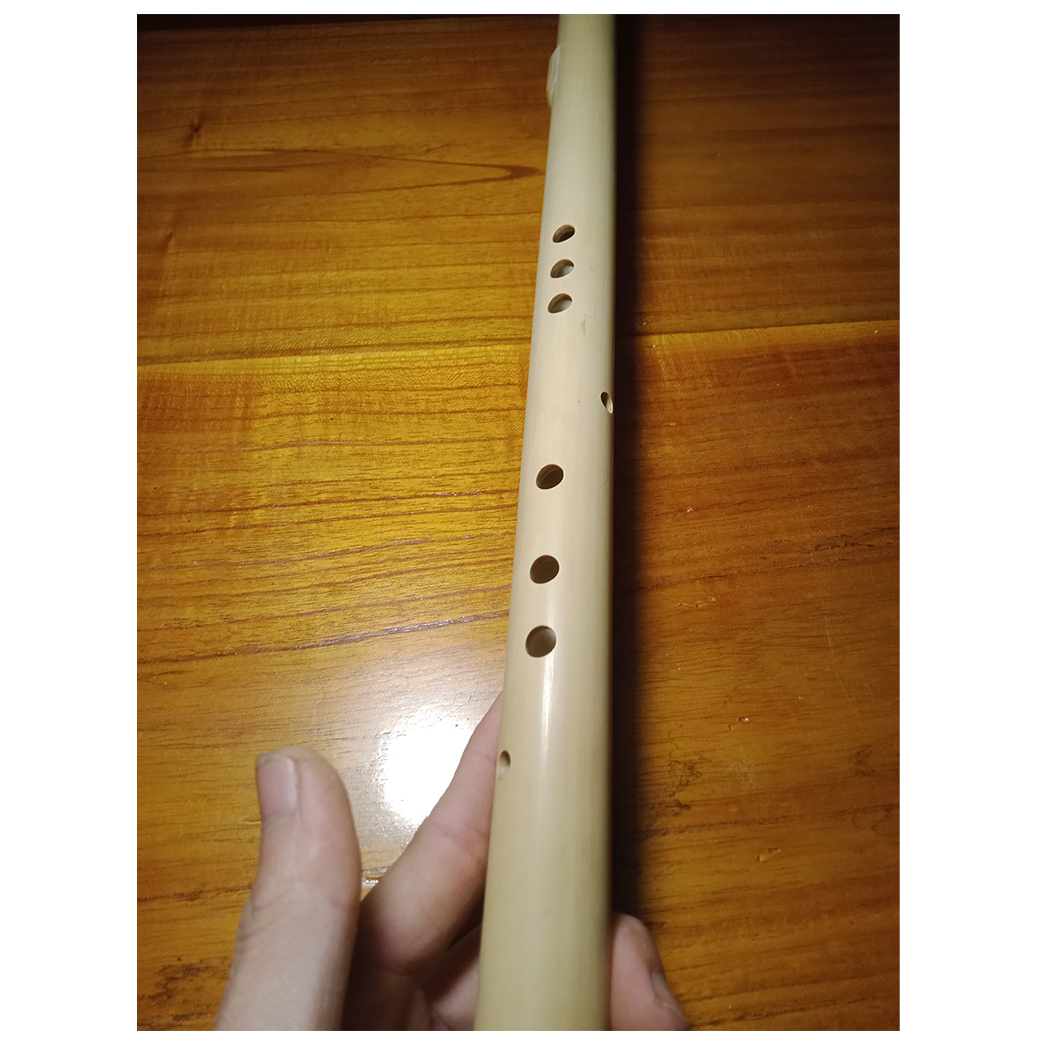 Sáo mèo cải tiến 9 lỗ bấm