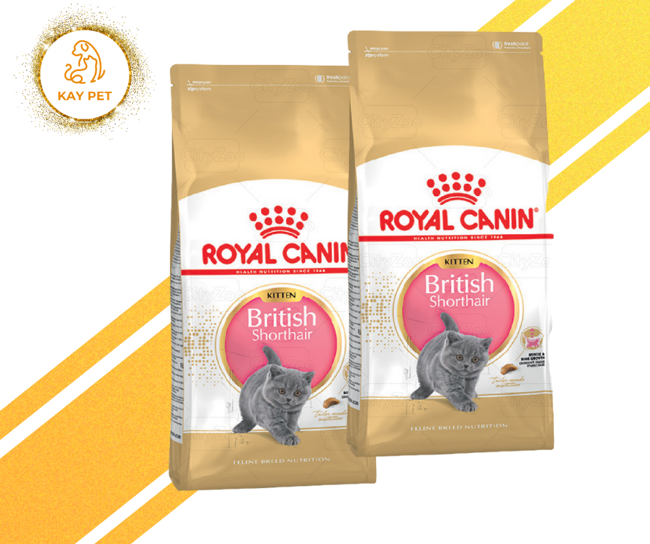 Thức ăn Royal Canin British ShortHair Kitten