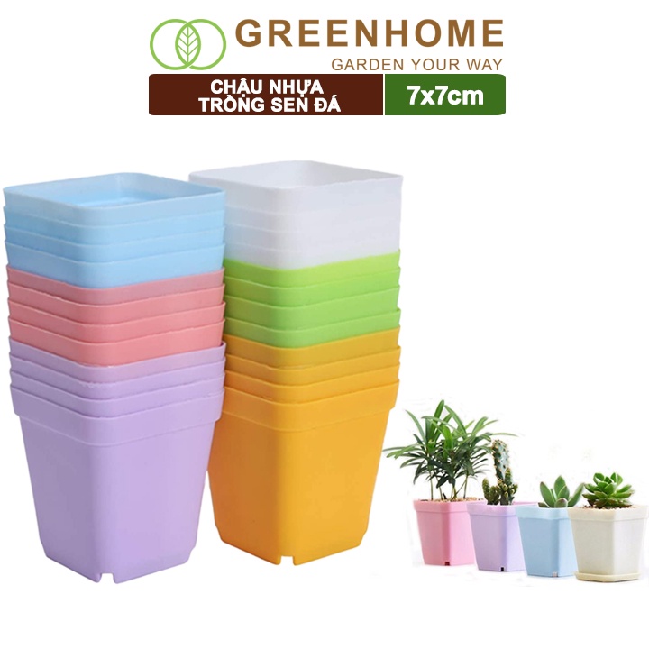 Bộ 10 Chậu nhựa trồng sen đá, 7x7cm, bền, đẹp, màu sắc hiện đại, màu ngẫu nhiên, không dĩa