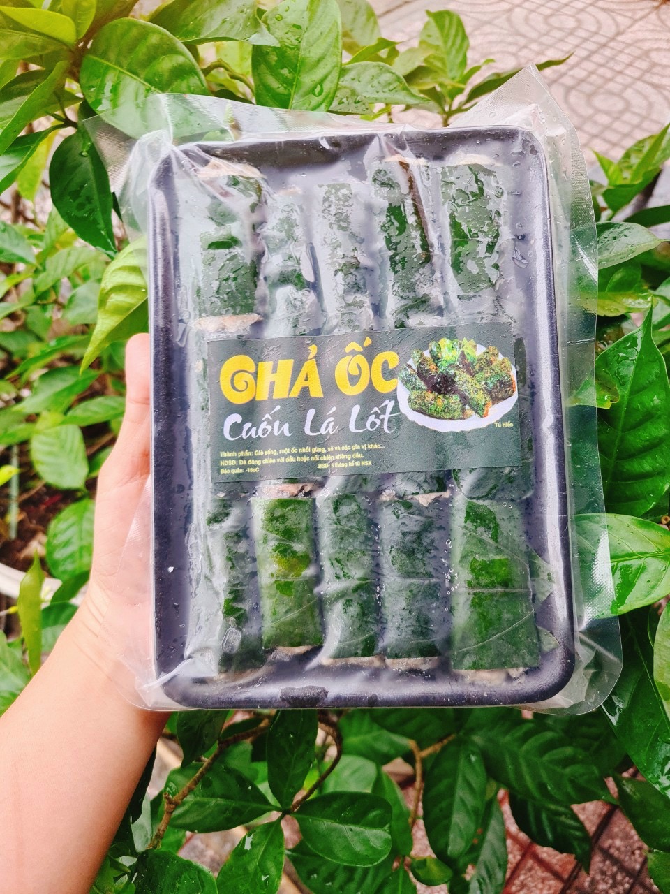 ￼Chả ốc cuốn lá lốt y hình khay 10 cuốn