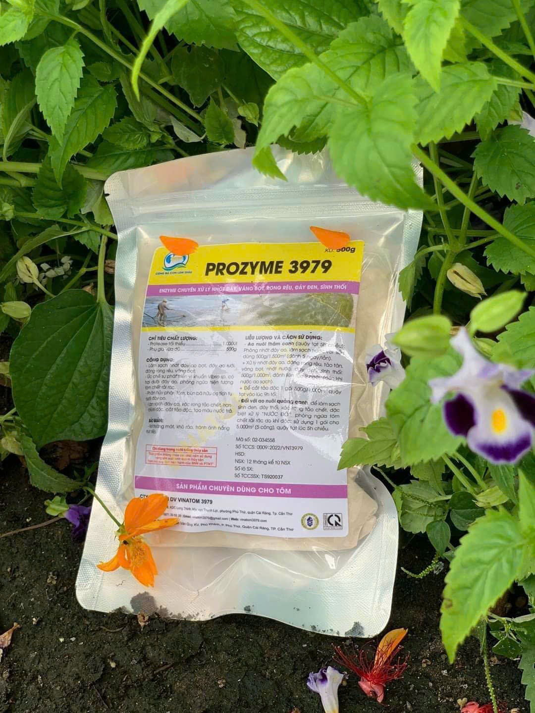 COMBO4 GÓI /MEN VI SINH AO NUÔI TÔM/ - PROZYME 3979 - 500G