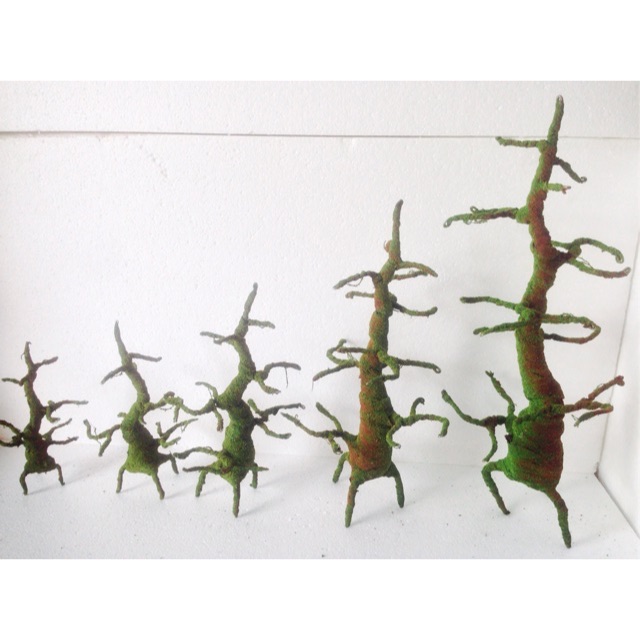 Gốc Bonsai
