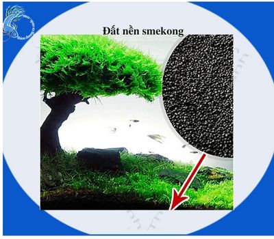 Phân nền trồng cây thủy sinh smekong bịch 2 kí- đất nền trông cây thủy sinh - phân nền s mê kong