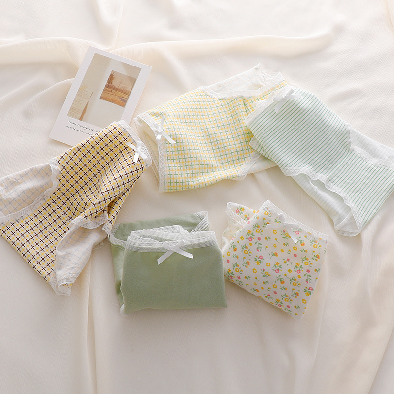 Sét 5 quần chip bé gái cotton kháng khuẩn chip nữ sinh từ 30-52kg