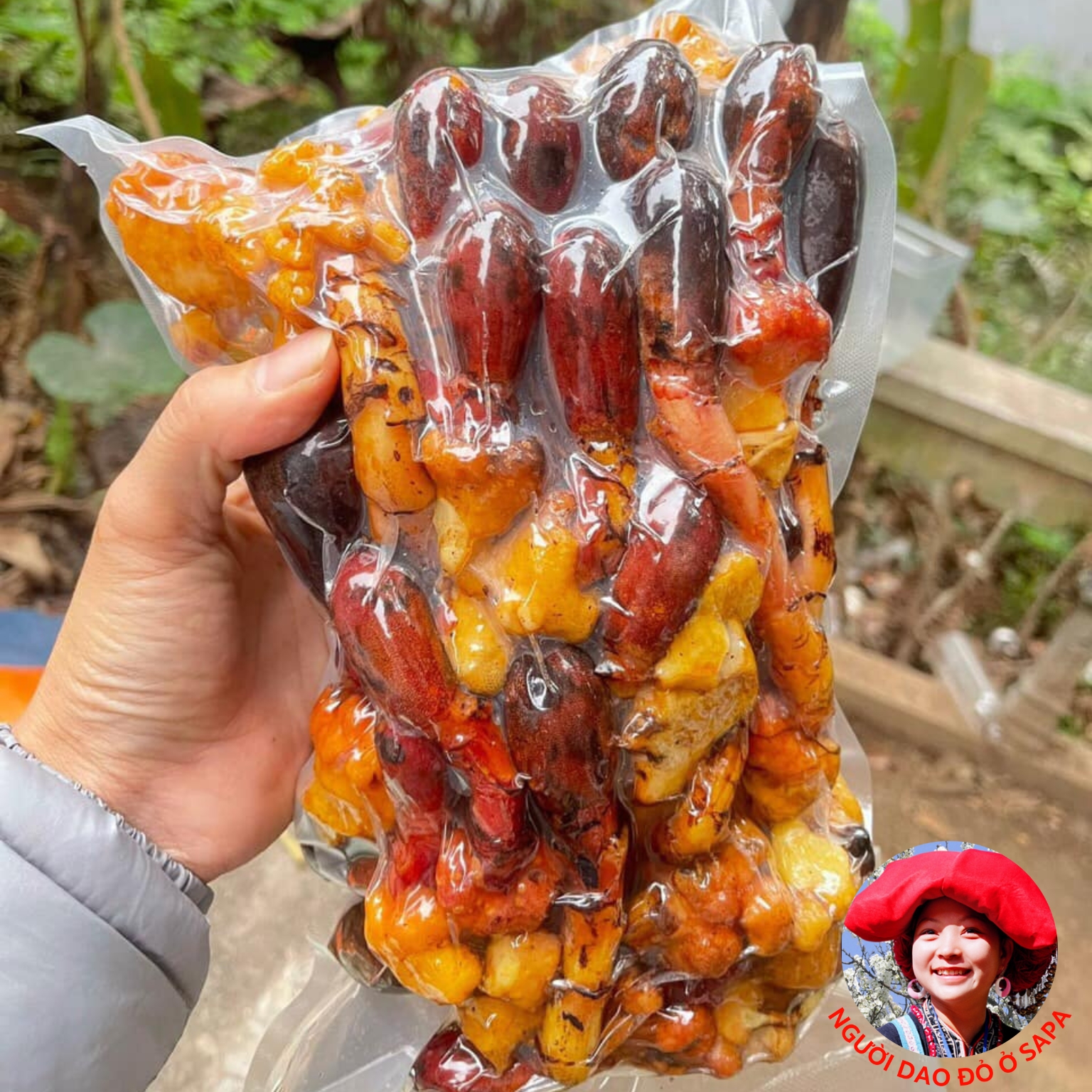 Nấm Ngọc cẩu tươi loại 1 1kg. Nấm ngọc cẩu tím vàng ngâm rượu, toả dương tích dương giúp bổ thận tráng dương tăng cường sinh lý
