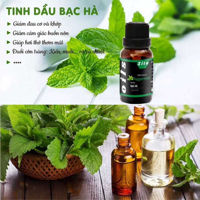 Tinh dầu bạc hà Peppermint Zito 10ml