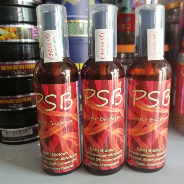 Men vi sinh vi khuẩn quang hợp PSB men vi sinh giúp nước bể cá luôn trong sạch