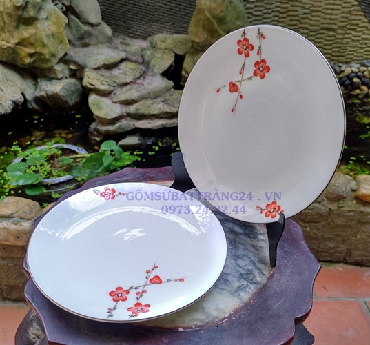 ĐĨA HÌNH TRÒN ĐỰNG SALAD RAU NỘM DĨA ĂN SỨ ĐẸP ĐĨA SỨ GIÁ RẺ BÁT TRÀNG TỐT