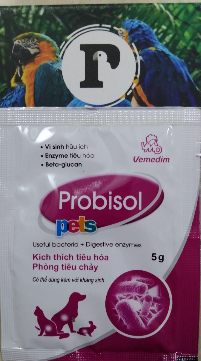 1 gói men tiêu hóa probisol 5g lợi cho ti êu hóa