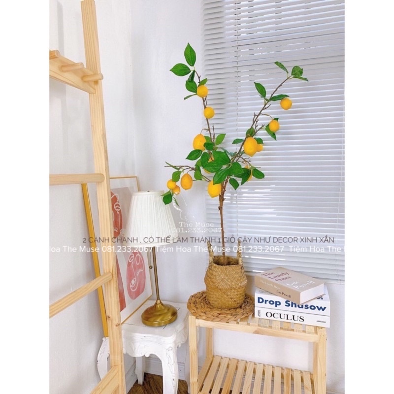 Cành quả chanh giả - loại vỏ sần -decor trang trí nhà cửa- chất liệu cao cấp