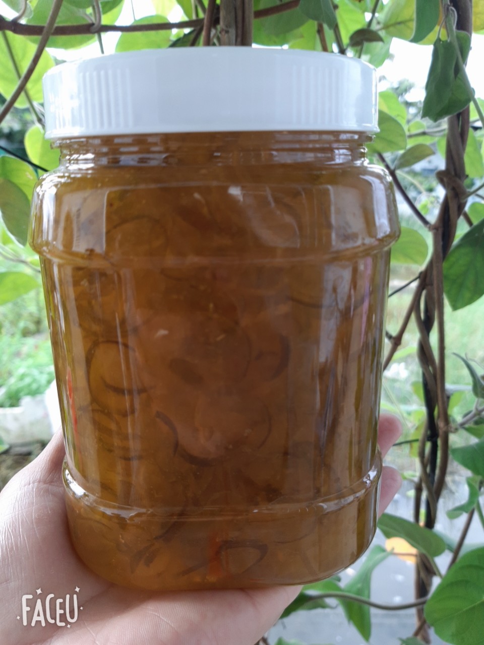 Tắc xí muôi nhà làm, keo 1kg