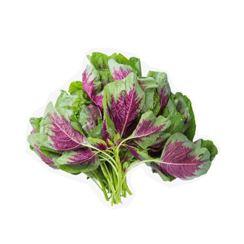 Hạt giống rau dền khoang cao sản, dễ trồng, dễ chăm sóc, cây khoẻ, năng suất cao R003 - svina seeds ( gói 20 gram )