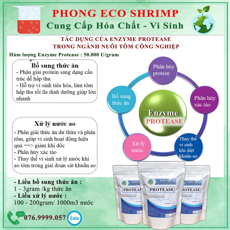 500gram - Enzyme protesea , Enzyme nguyên liệu # Enzyme protease nguyên liệu 500gram